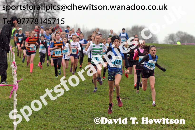 Girls under-13s North Eastern Cross Country, Sedgefield, County Durham. Photo: David T. Hewitson/Sports for All Pics